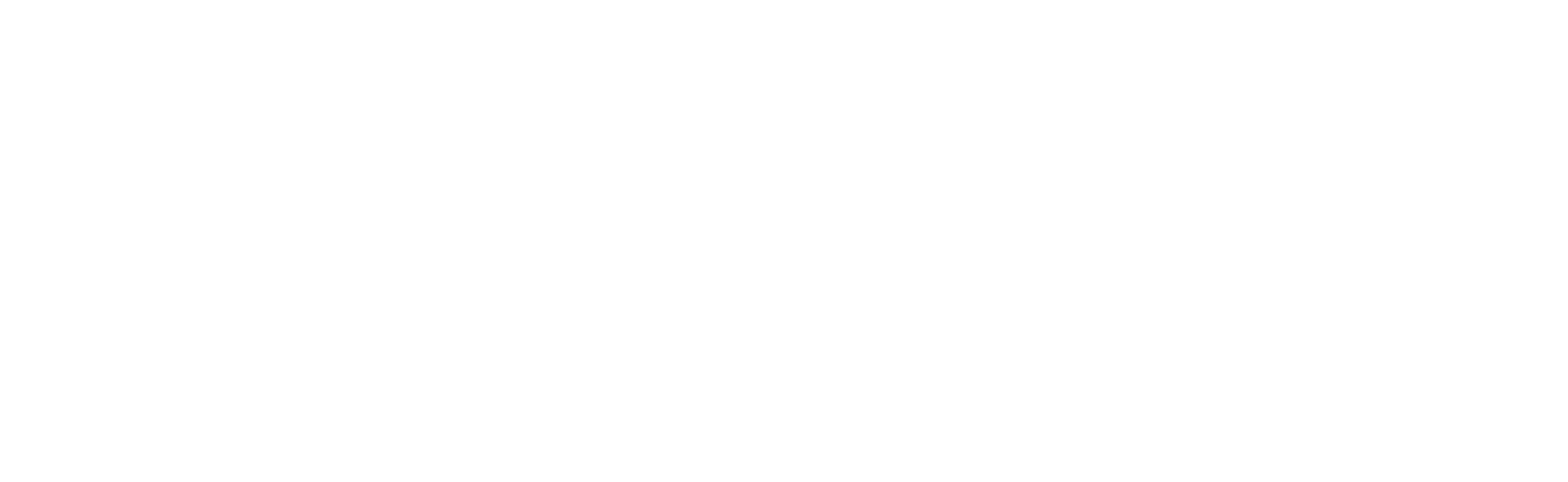 Blue Warden Cyber Security Logo